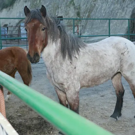 מלון Cascine E Dintorni